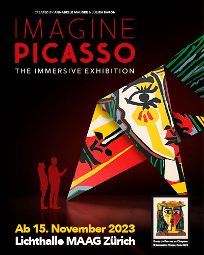Imagine Picasso Flex- / Geschenktickets