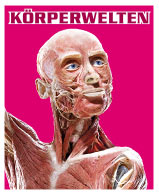 KÖRPERWELTEN - Am Puls der Zeit