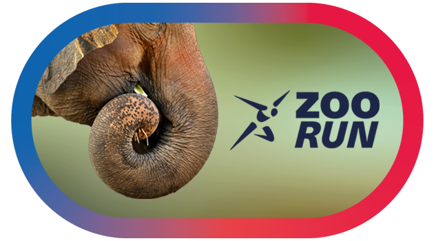 Zoo Run 2024